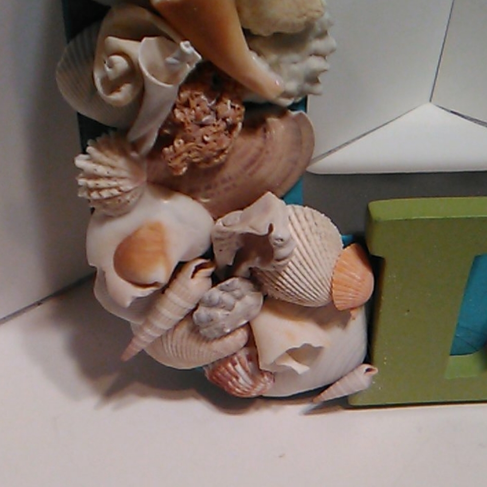 Shell Shelf Sitter - Picture 7 of 14